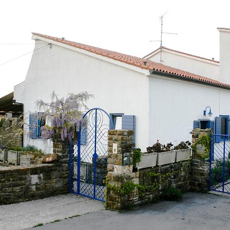 Apartments Novka Izola Zewnętrze zdjęcie