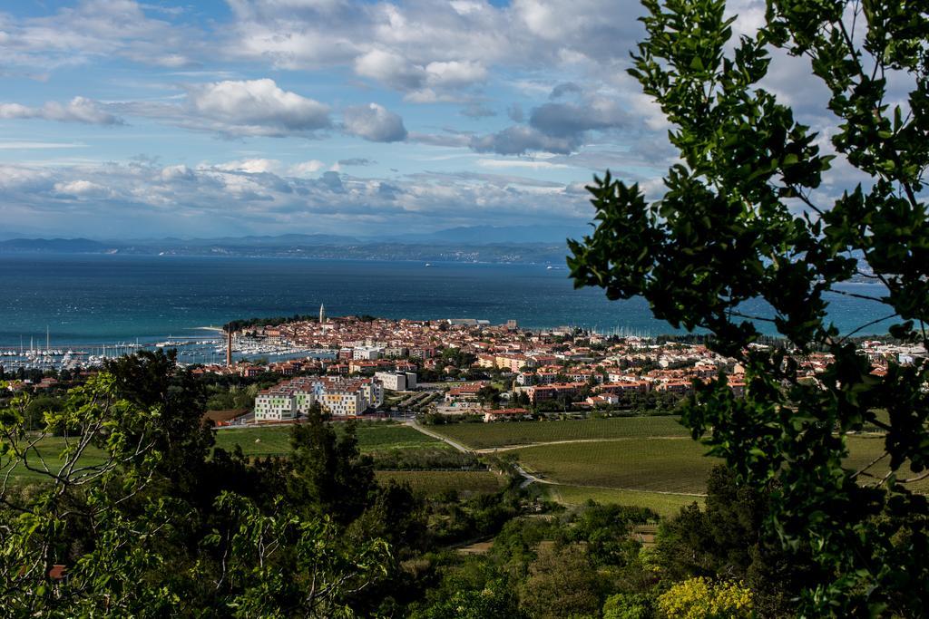 Apartments Novka Izola Zewnętrze zdjęcie